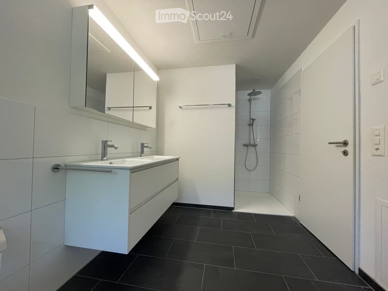 Modern bathroom with a double sink, mirror, and a separate shower area with a glass enclosure.