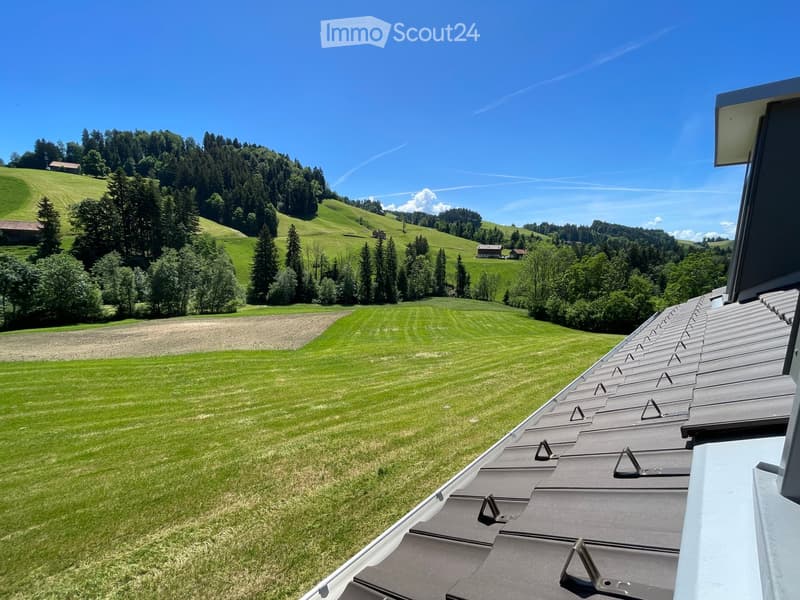 View from a rooftop showing a lush green meadow, scattered trees, and distant hills under a clear blue sky.