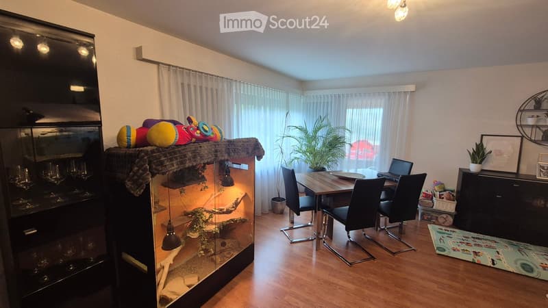 A well-lit room with a wooden floor, a large window with white curtains, a dining table with chairs, a laptop, a cabinet, a plant, a toy on top of a cabinet, a cage with a small animal, and a colorful rug on the floor.