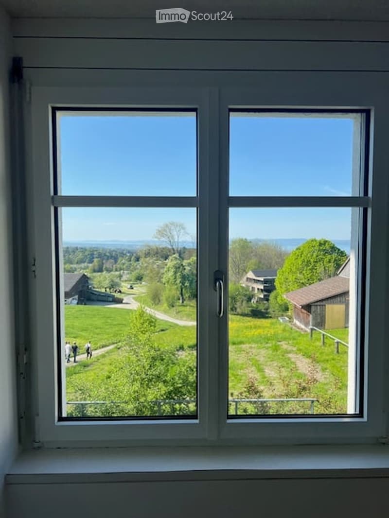 View from a window showing a green landscape with fields, trees, and distant houses under a clear blue sky.