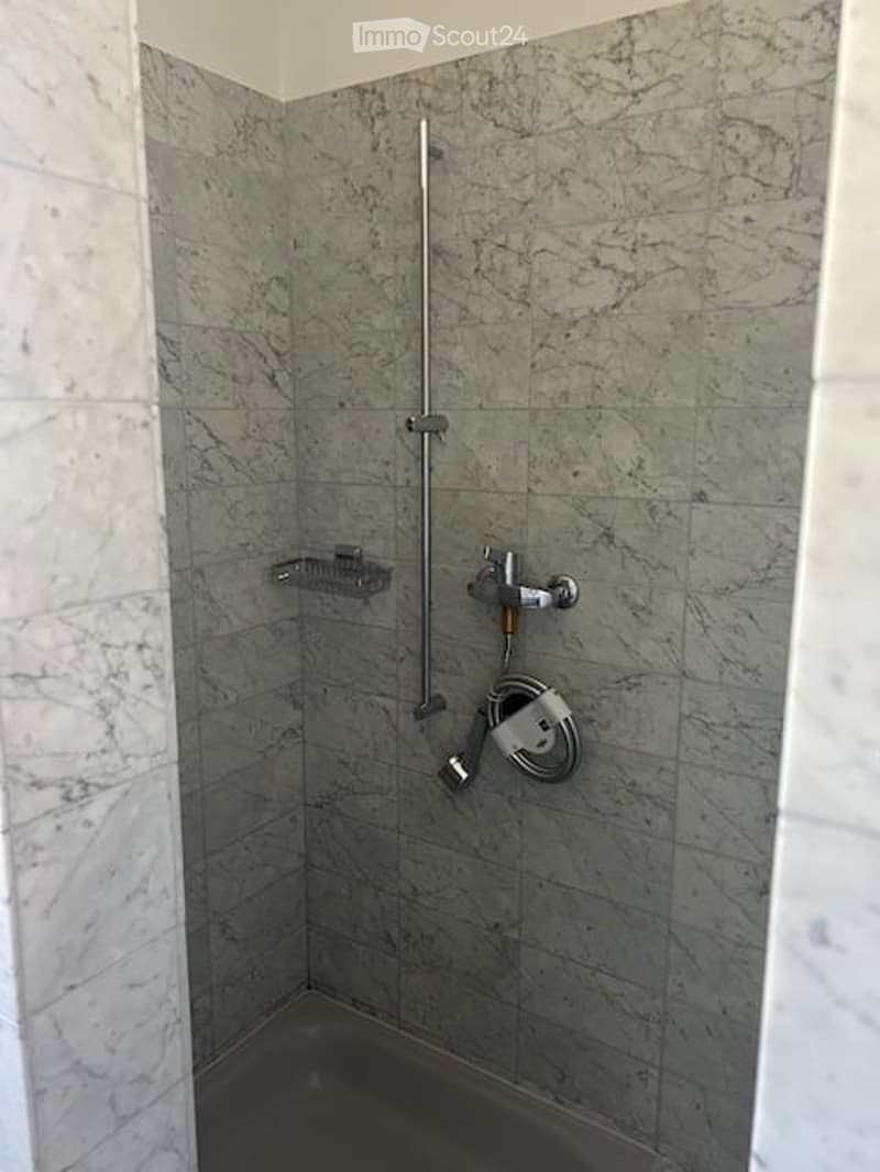 Modern shower area with marble tiles, a handheld showerhead, a handheld shower hose, and a small shelf for toiletries.