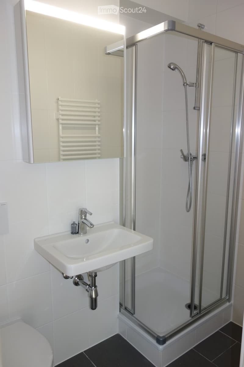 Modern bathroom with a white sink, chrome faucet, mirrored cabinet, radiator, and a glass-enclosed shower with a modern showerhead.