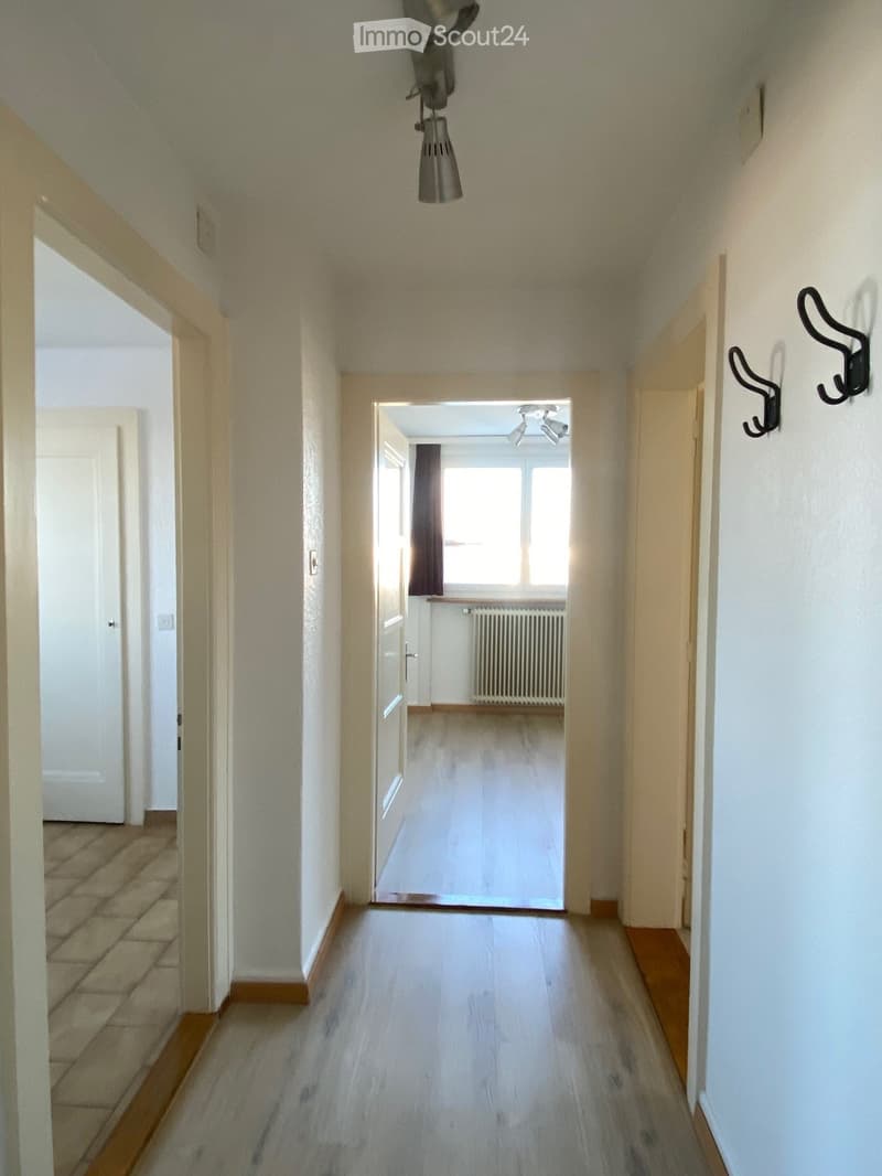 Wide hallway, wooden floors, two doors, windows, ceiling lamp, radiator
