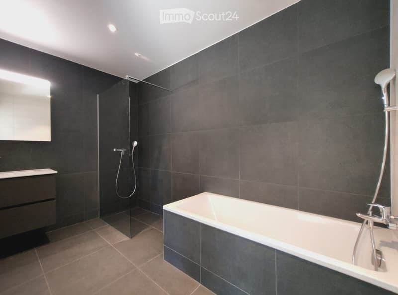 Modern bathroom with dark grey tiles, a bathtub, a glass-enclosed shower, and a mirrored cabinet.