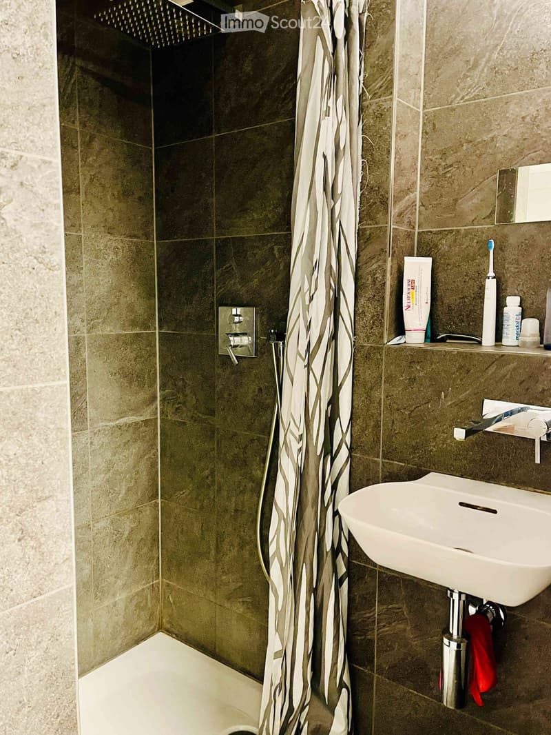 Modern bathroom with a white sink, dark tiled walls, a shower area with a curtain, and toiletries on a shelf.