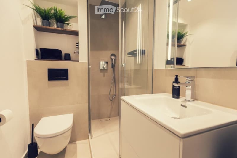 Modern bathroom with a toilet, sink, shower, and a large mirror. Features include a glass-enclosed shower, a sleek sink with a modern faucet, and decorative plants on a shelf.
