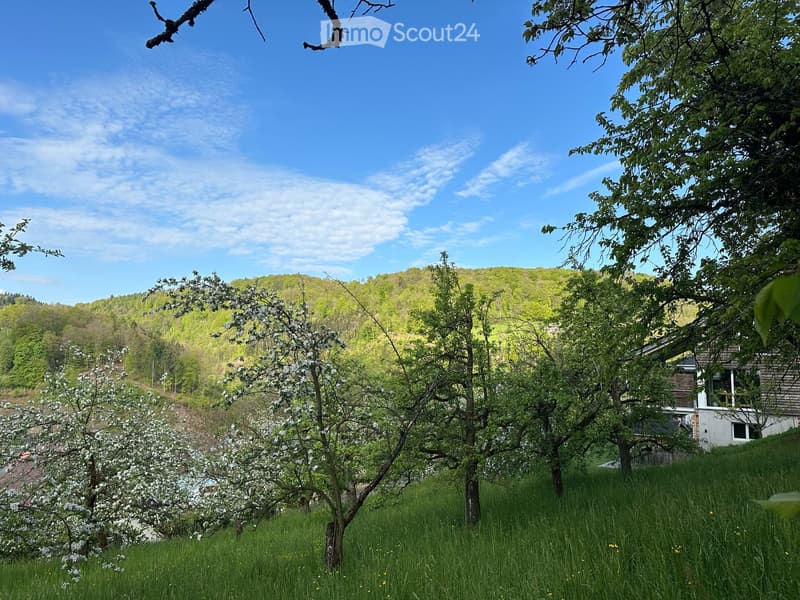 Sonniges Bauland in idyllischer Lage – Tenniken, Elletenweg (6)
