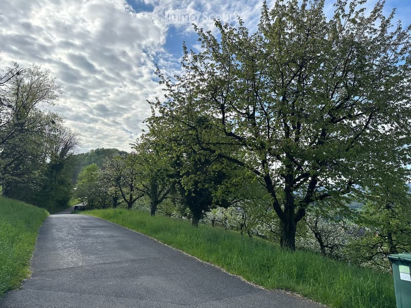Sonniges Bauland in idyllischer Lage – Tenniken, Elletenweg (3)