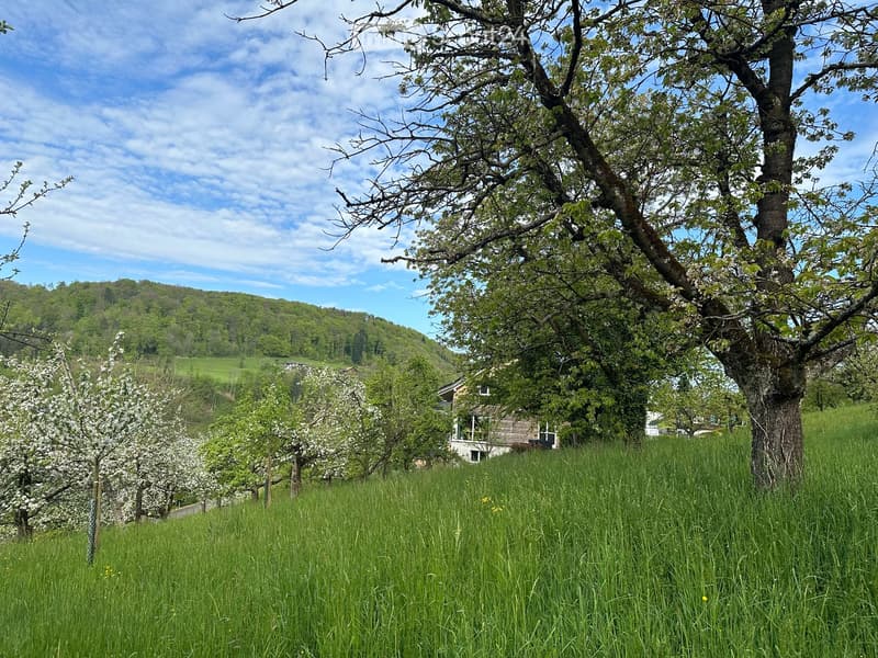 Sonniges Bauland in idyllischer Lage – Tenniken, Elletenweg (2)