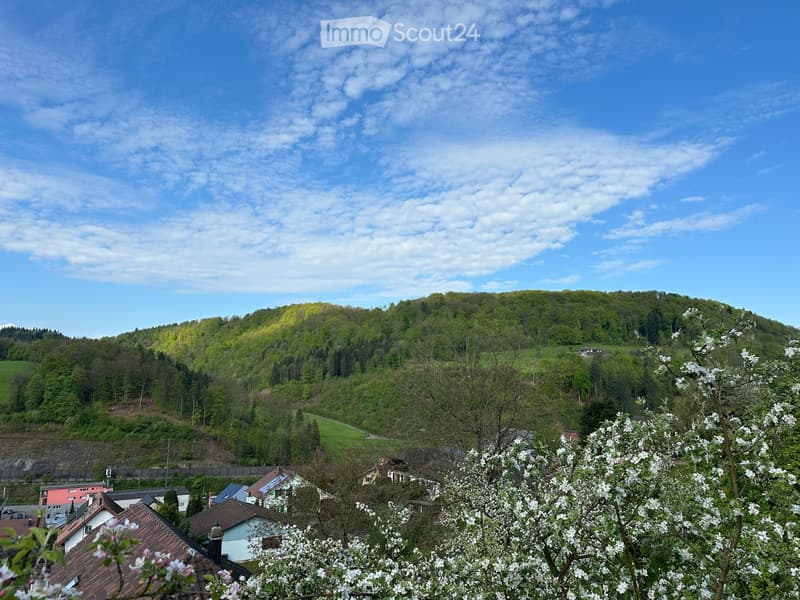 Sonniges Bauland in idyllischer Lage – Tenniken, Elletenweg (4)