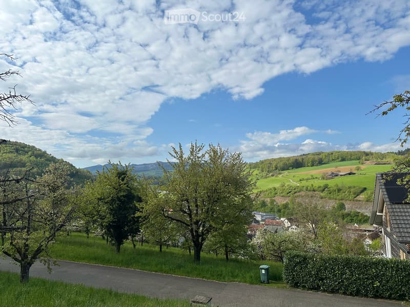 Sonniges Bauland in idyllischer Lage – Tenniken, Elletenweg (5)