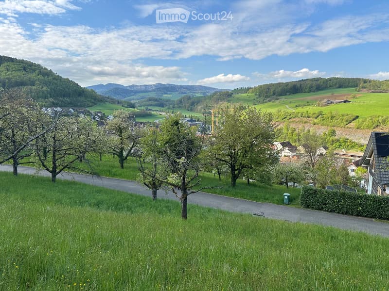Sonniges Bauland in idyllischer Lage – Tenniken, Elletenweg (1)
