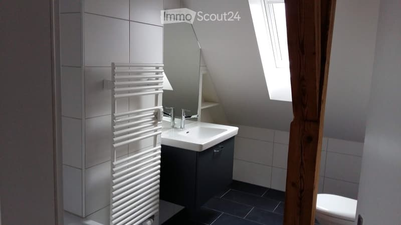 Bathroom. Modern bathroom with white radiator, sink, mirror, and toilet. The room features grey tiles and a skylight window.