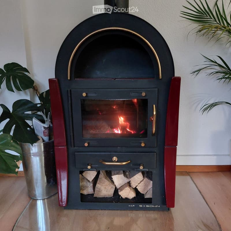 A modern wood-burning stove with a visible flame, surrounded by neatly stacked firewood and decorative plants.