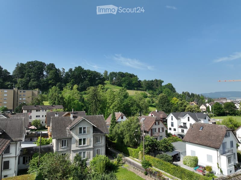 Aerial view of a suburban neighborhood with multiple houses, trees, and greenery. Houses have varied architectural styles and are surrounded by well-maintained gardens and lawns.