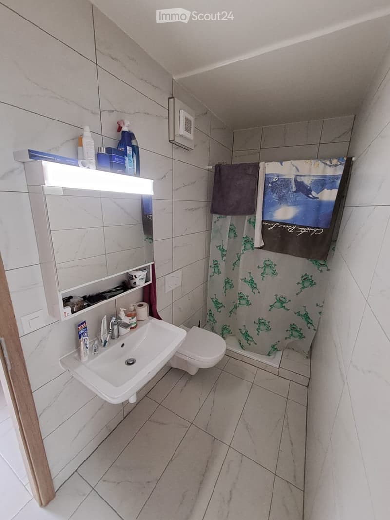 Modern bathroom with white tiles, a sink, toilet, mirror, and a shower with a green frog-patterned curtain. Cleaning supplies are on a shelf above the sink.
