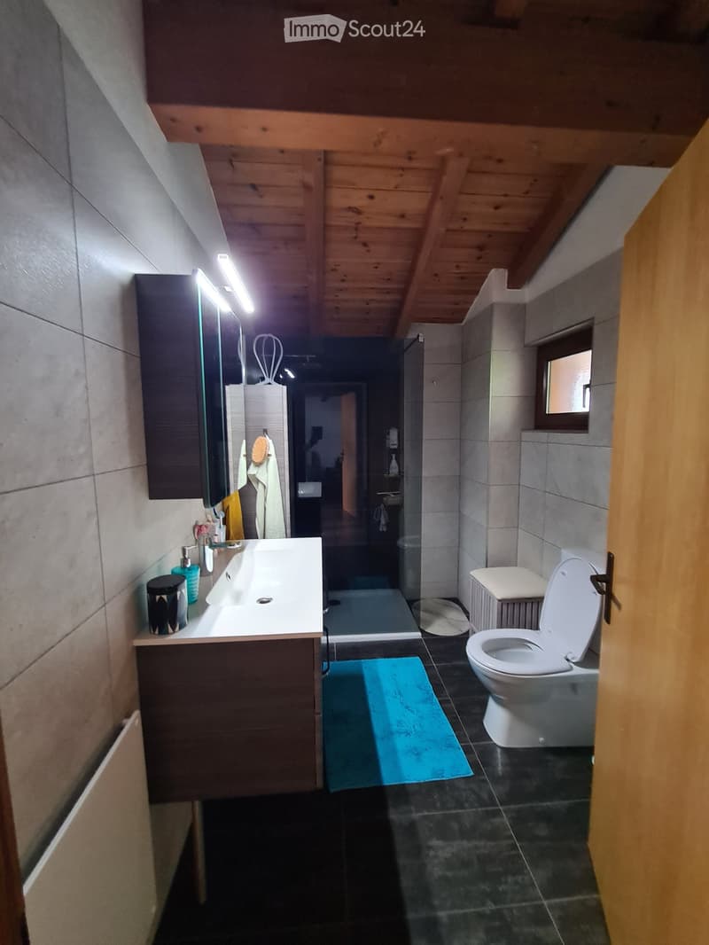 Modern bathroom with a sink, toilet, mirror, and a small cabinet. The room features dark tiled floors and walls, with a blue bath mat placed in front of the toilet.
