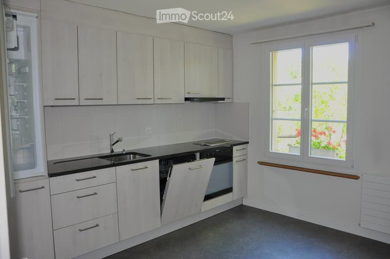 Modern kitchen with white cabinets, black countertops, stainless steel sink, and built-in appliances including a refrigerator, oven, and dishwasher.