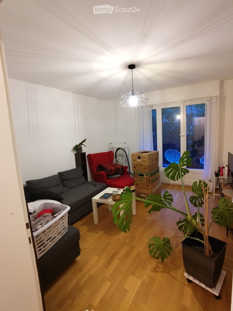 Living room with wooden floor, white walls, large window with curtain, pendant light, sofa, armchair, coffee table, potted plant, and stacked boxes.