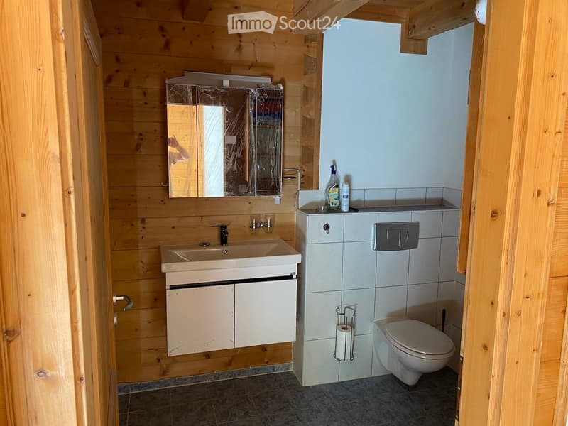 Bathroom with wooden walls, a sink with a mirror above it, a toilet, and a cabinet. Cleaning supplies are placed on the cabinet.