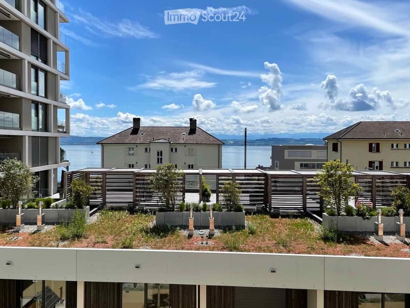 Rooftop garden with low shrubs, small trees, and a wooden fence, overlooking a body of water and surrounding buildings.