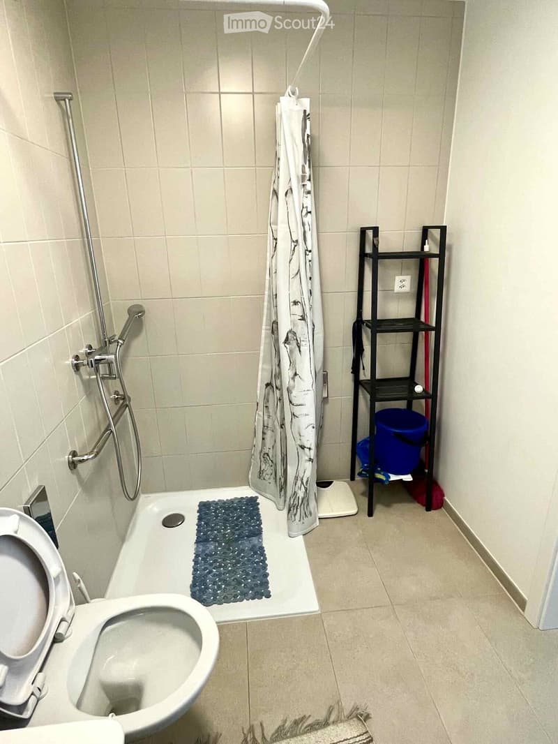 Bathroom with a toilet, bathtub, shower curtain, and a small shower rack holding cleaning supplies.