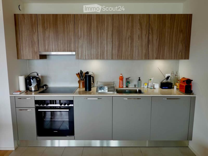 {"type": "Kitchen", "objects": ["oven", "sink", "faucet", "coffee maker", "toaster", "oven mitts", "oven gloves", "oven cleaner", "oven cleaner", "oven cleaner", "oven cleaner", "oven cleaner", "oven cleaner", "oven cleaner", "oven cleaner", "oven cleaner