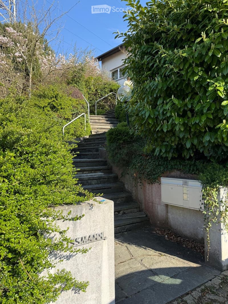 Grosszügiges Mehrfamilienhaus in Lörrach (7)