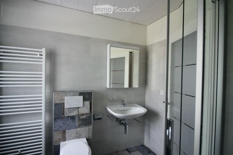 Modern bathroom with grey tiled walls, a white radiator, a sink with a mirror above it, and a toilet. The shower area is visible with a glass enclosure.