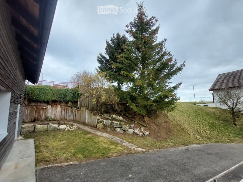 Garden area with a wooden fence, stone border, grass, trees, and a paved driveway.