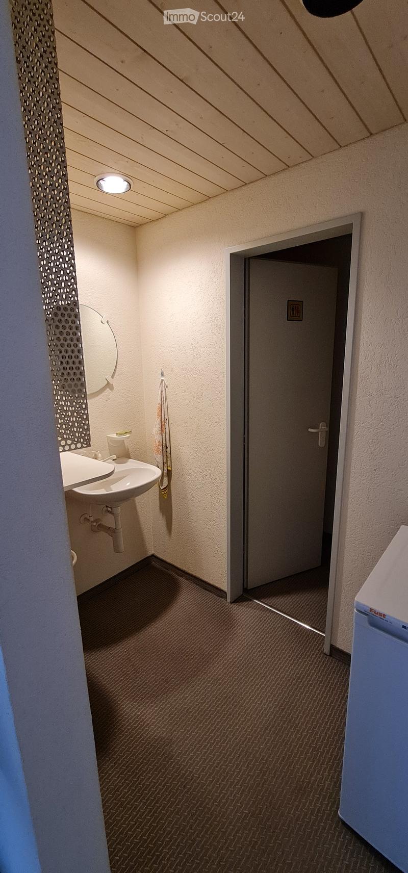 Small bathroom with a double sink, mirror, towel, and washing machine visible. The room has beige walls and a patterned carpet.