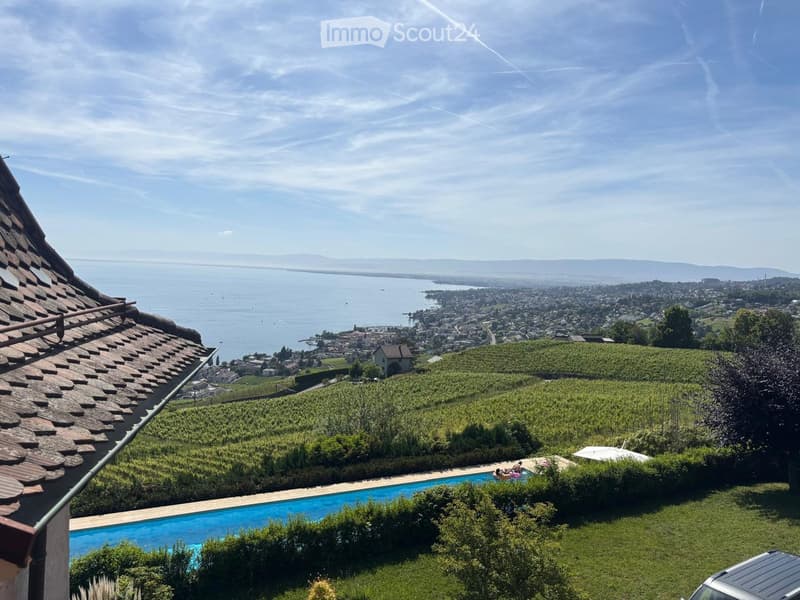 View from a rooftop terrace showing a swimming pool, lush greenery, and a panoramic view of a lake and distant cityscape.