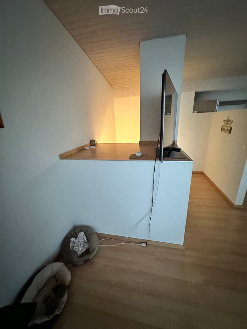 A small, furnished room with a TV on a stand, a cat bed, and a small counter with a lamp. The room has wooden flooring and white walls.