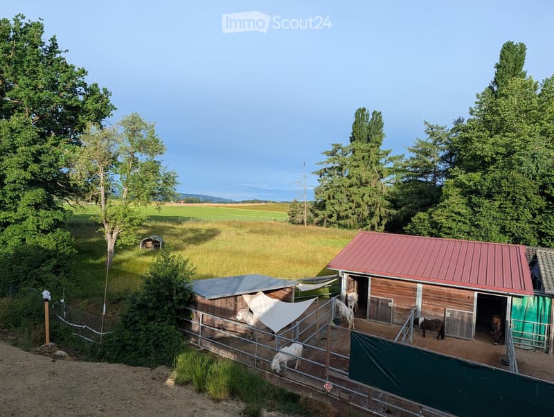 Stable with multiple horses, fenced area, covered shelter, and open paddock surrounded by trees and fields.