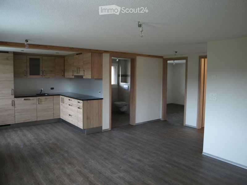 Empty kitchen with wooden cabinets, black countertops, and a sink, connected to a bathroom with a toilet visible in the background.