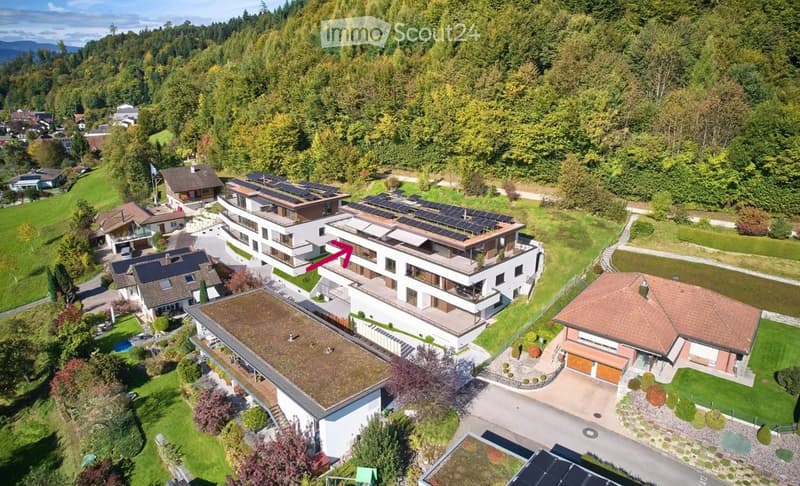 Aerial view of a large residential complex with multiple modern houses, solar panels on roofs, landscaped gardens, and a swimming pool.