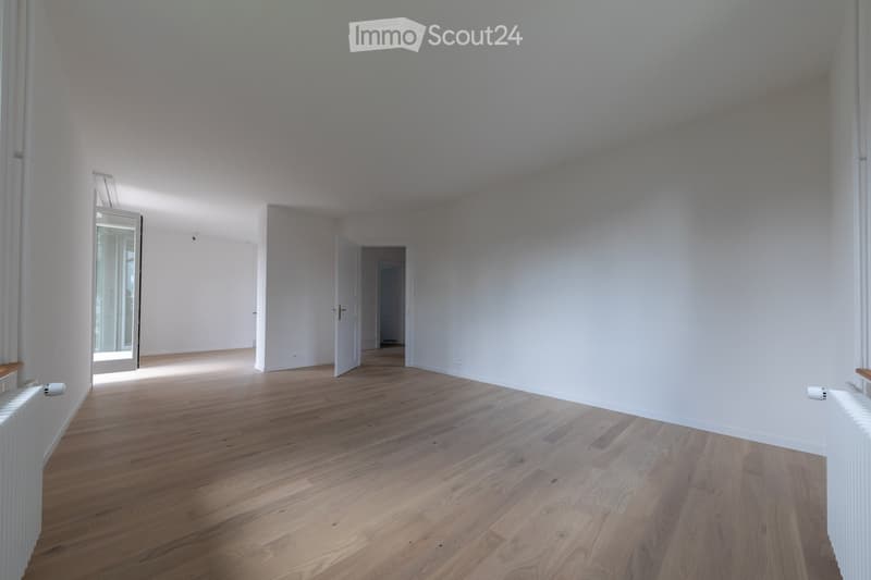 Empty room with white walls, wooden floor, open door, glass door, radiators