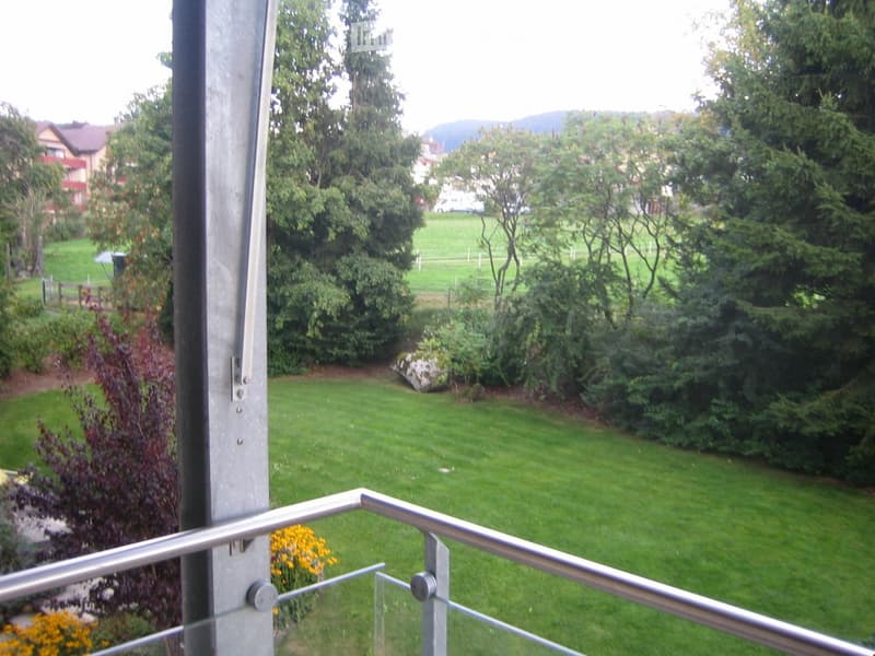 Balcony overlooking a well-maintained lawn and garden area with trees and distant houses.