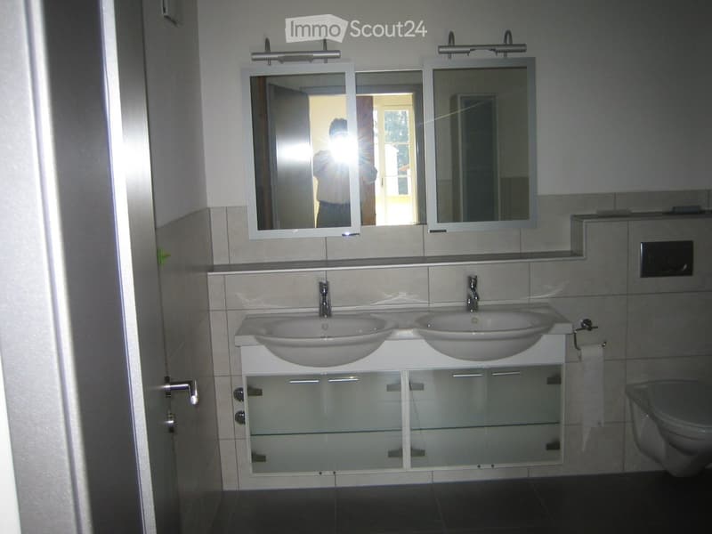 Modern bathroom with double sink vanity, mirrors, and a toilet. The vanity has built-in cabinets and glass doors.