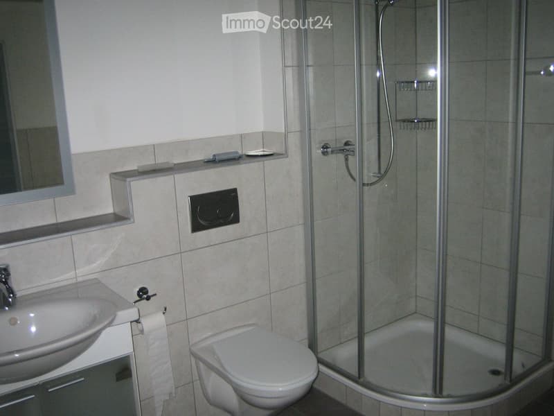 Modern bathroom with a glass-enclosed shower, toilet, sink, and a mirror above the sink. The walls are tiled, and there is a towel visible.