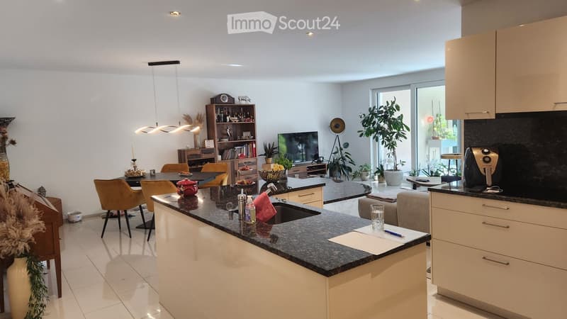 Open-plan kitchen and living area with modern cabinetry, granite countertops, and a central island. Features include a sink, faucet, chairs, a table, a cup, a refrigerator, an oven, a sofa, a television, a bookshelf, and several plants.