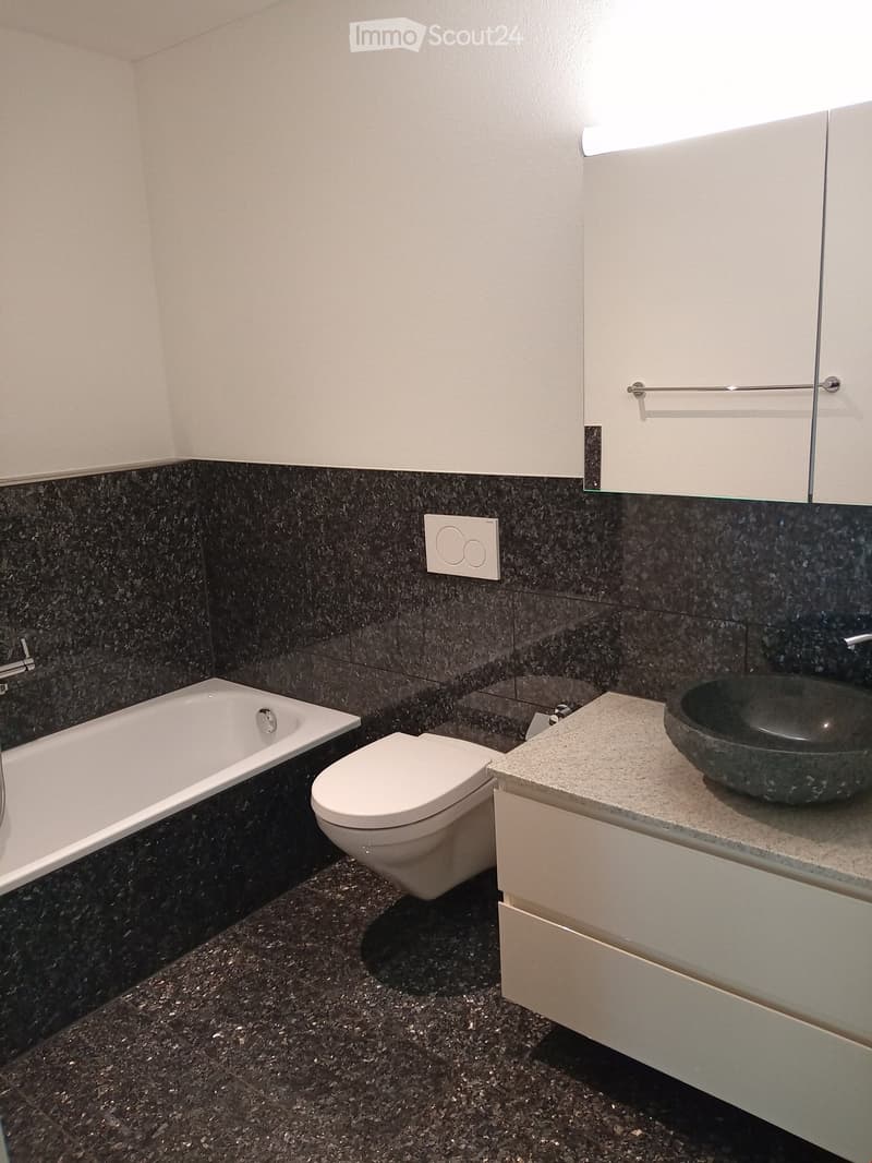Bathroom with white bathtub, white toilet, granite countertop, white cabinets, black granite tiles, silver faucet, and a round sink.