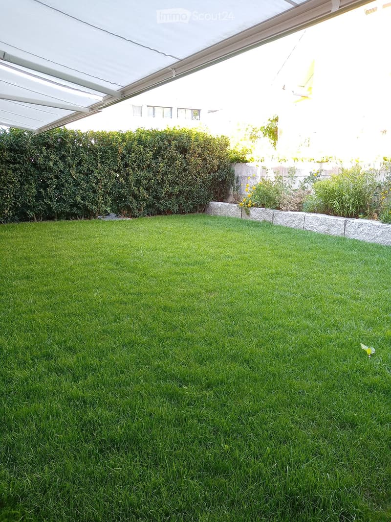 Green lawn, stone wall, hedge, plants, and flowers