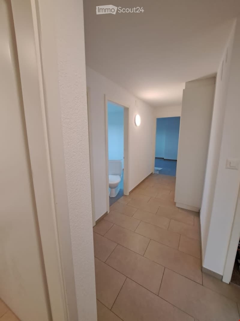 4 1/2 Zimmer Wohnung 3. OG (12)