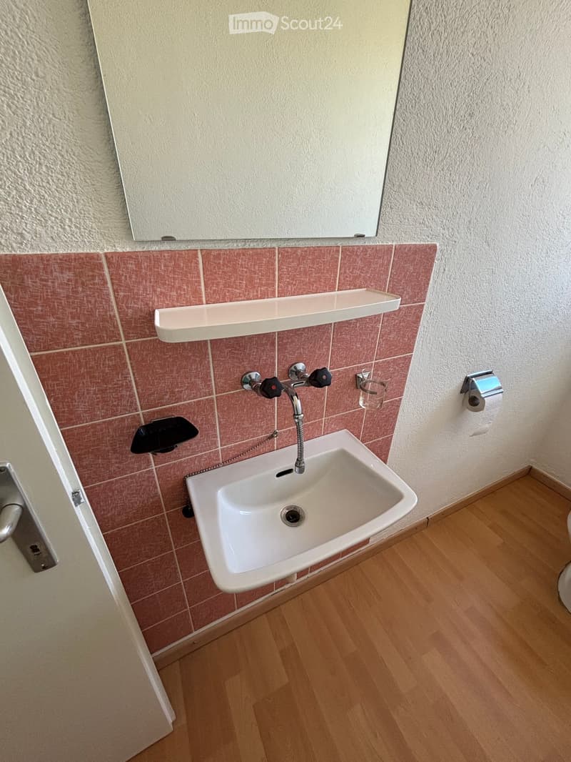 Bathroom with a white sink, chrome faucet, mirror above, and a shelf on the wall. Wooden flooring and pink tiled wall.