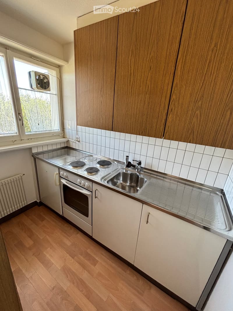 Modern kitchen with wooden cabinets, stainless steel sink, electric stove, and wooden flooring.