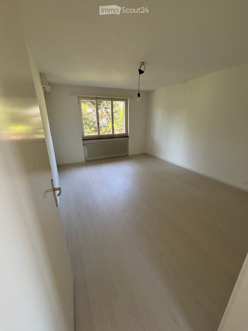 Empty room with light-colored wooden flooring, white walls, a single window with a radiator below, and a simple hanging light fixture.
