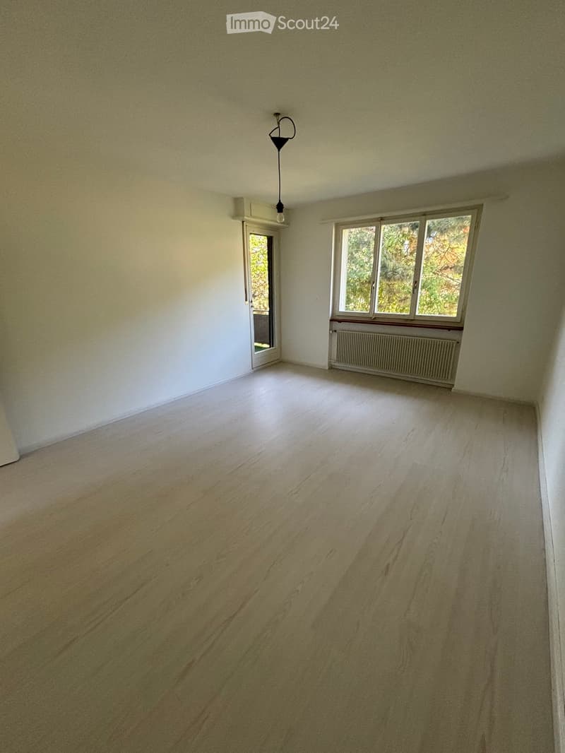 Empty room with light wooden flooring, white walls, a single window with a radiator below, and a door leading outside.