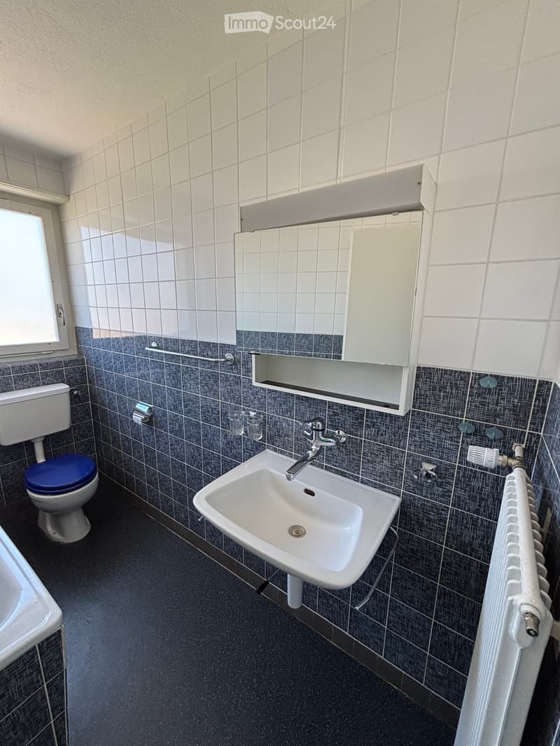 Bathroom with white tiled walls, dark grey lower tiles, a toilet with a blue seat cover, a white sink with a chrome faucet, a mirror cabinet, and a radiator.