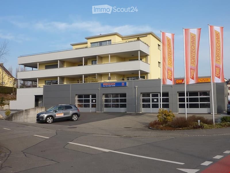 Appartamento moderno 4.5 locali con standard elevati (1)